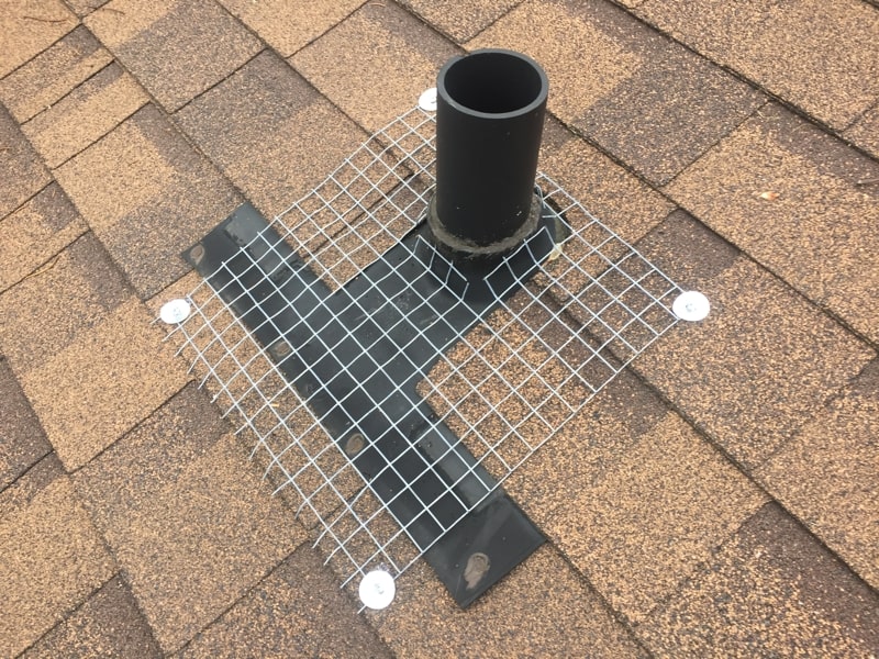 Wildlife exclusion applied to roof vent-pipe