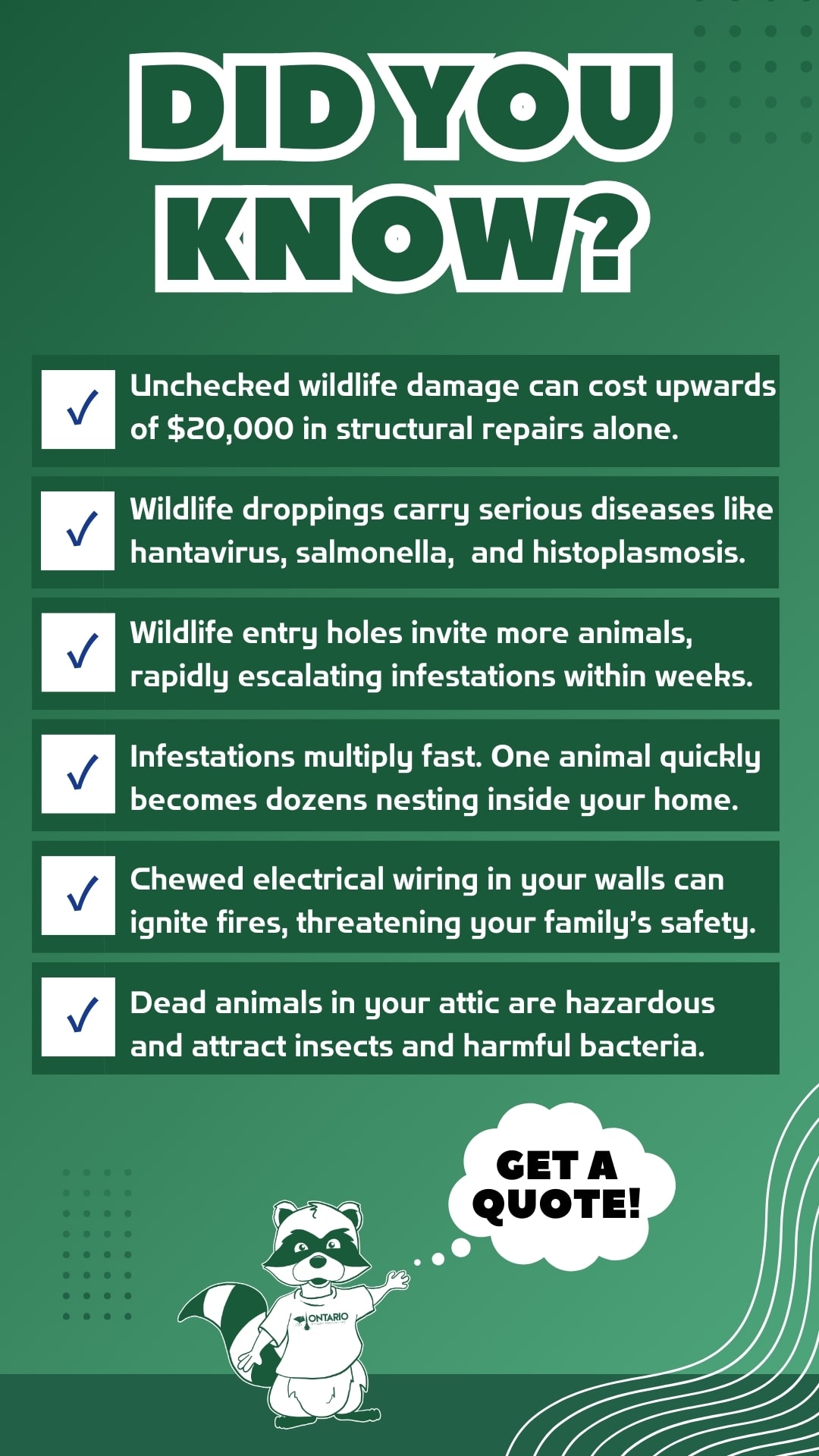 Important Wildlife Removal FAQ Important Wildlife Removal FAQ